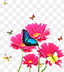 粉色模糊彩绘花朵蝴蝶