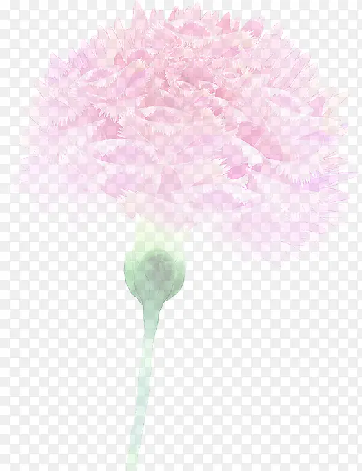 粉色模糊设计康乃馨花朵