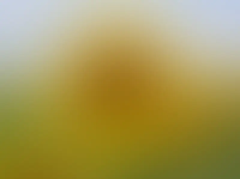 黄色渐变模糊虚化