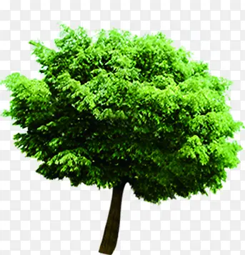 绿色环保大树模糊