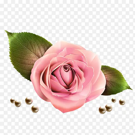 粉色花朵珍珠图片素材