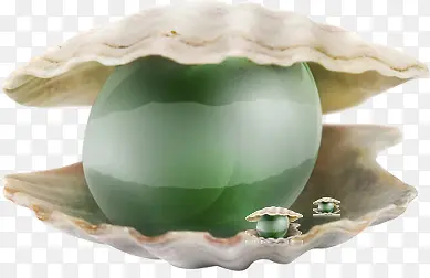贝壳手绘珍珠淘宝