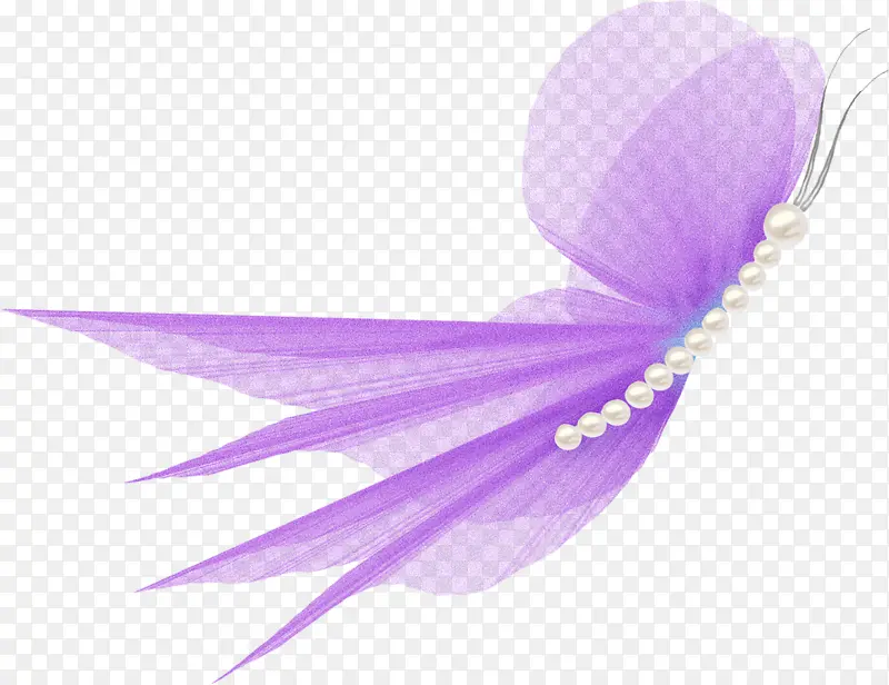 紫色蝴蝶纱