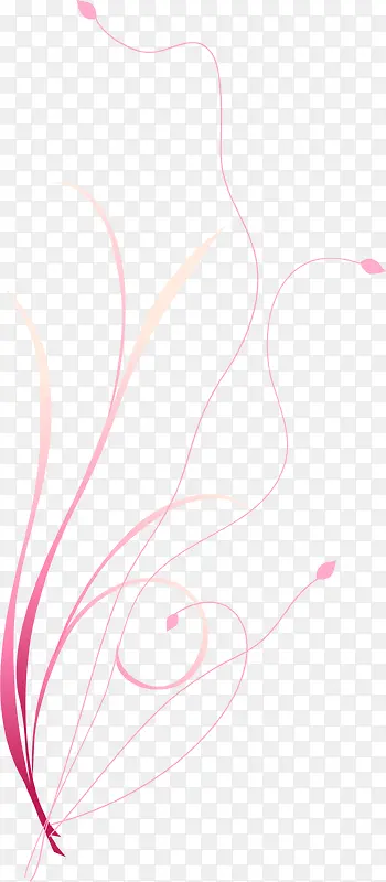 粉色线条花纹