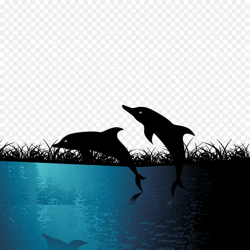 河流里的海豚