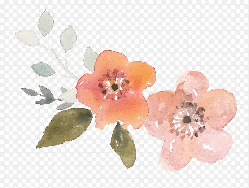 手绘涂鸦植物花朵