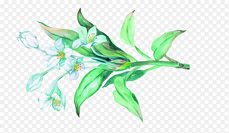 创意涂鸦效果设计植物花朵