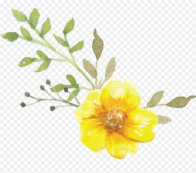 涂鸦手绘植物黄色花朵
