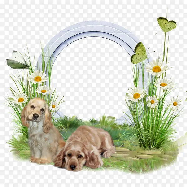 狗狗和植物白色边框