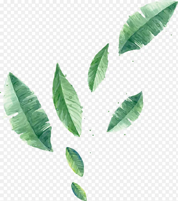 植物涂鸦绿色叶子插画