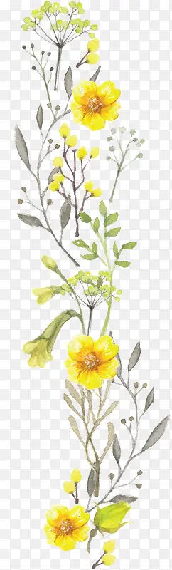 涂鸦植物黄色花朵植物