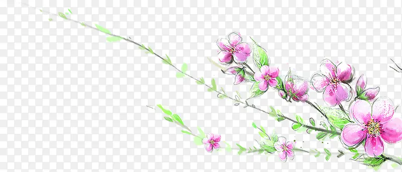 创意海报植物花朵设计涂鸦