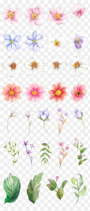 植物花朵小清新涂鸦