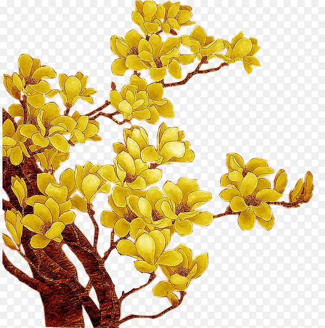 涂鸦植物黄色花朵