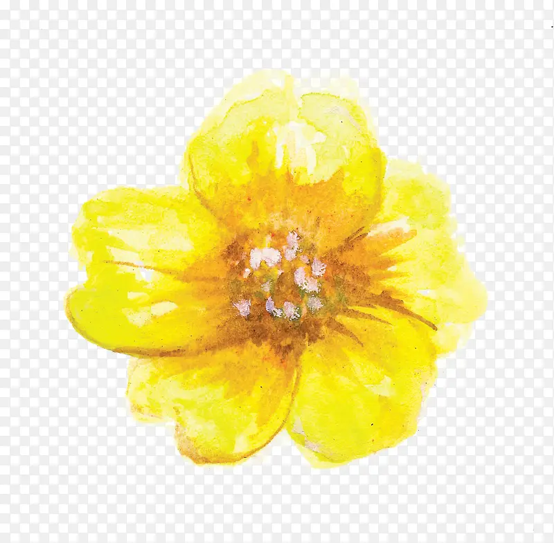 植物黄色花朵涂鸦效果
