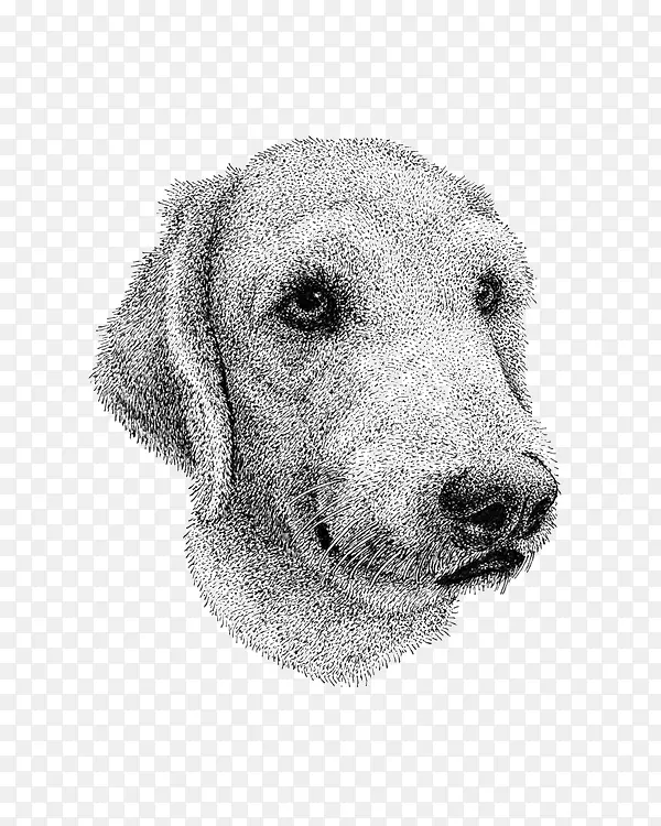 手绘狗