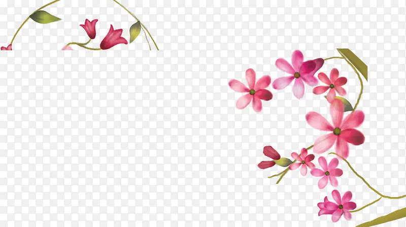 设计海报花朵植物卡通粉色