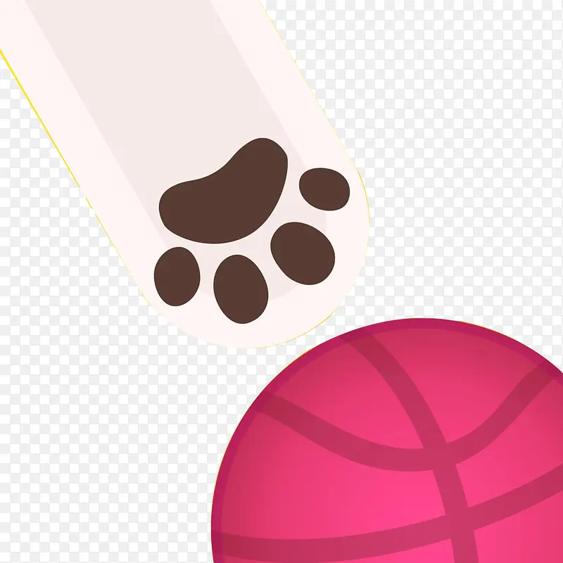 猫爪子与篮球