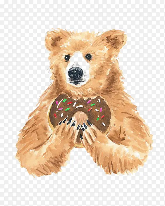 吃甜甜圈的熊