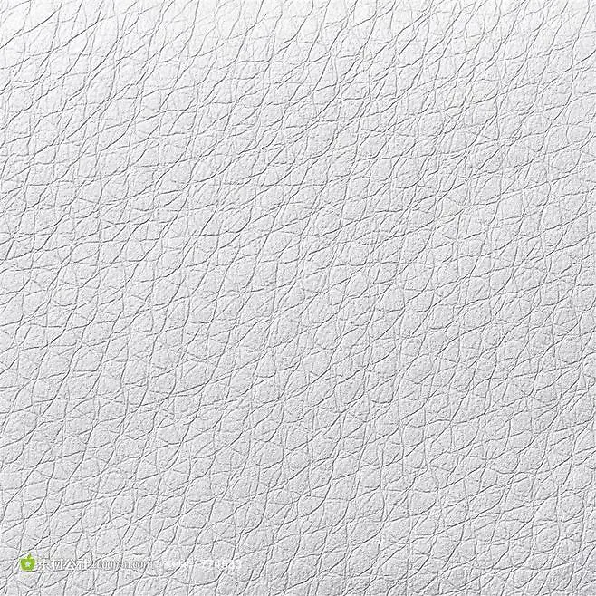 皮质纹理
