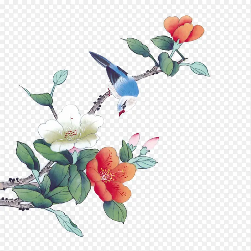 花鸟图