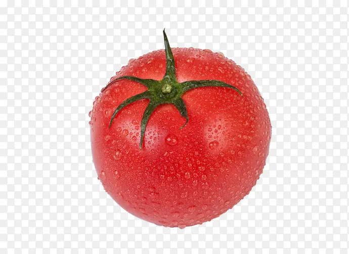 清凉夏日番茄西红柿