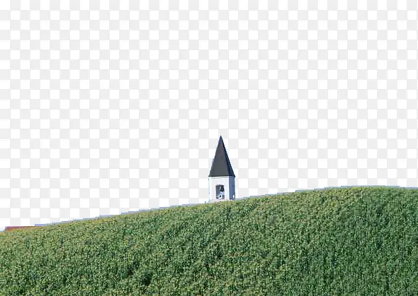 植被背景