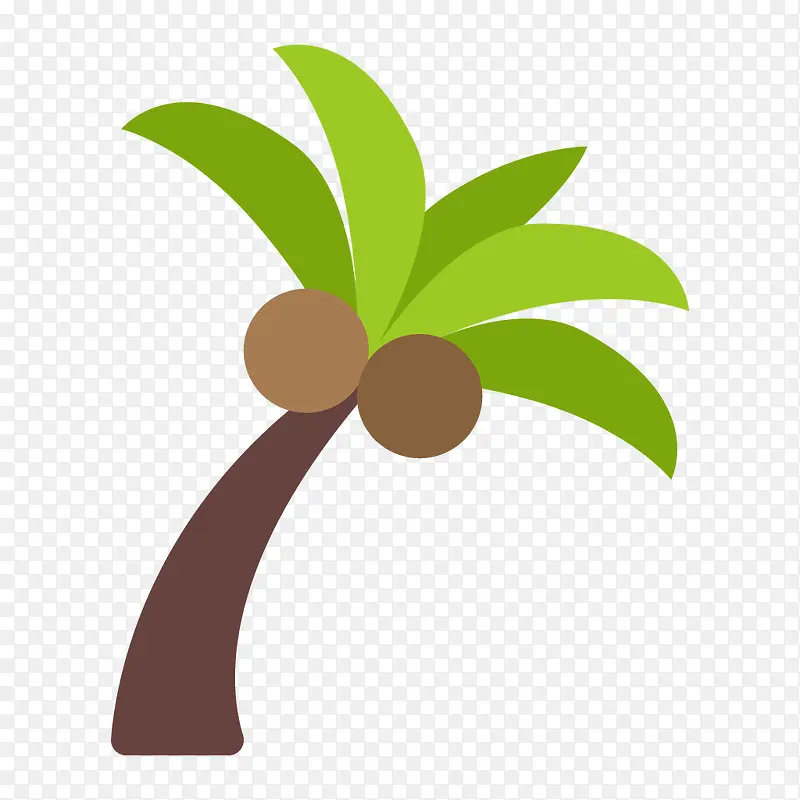 椰子和椰子树