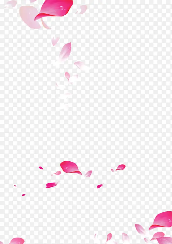 粉红花瓣飘落漂浮装饰