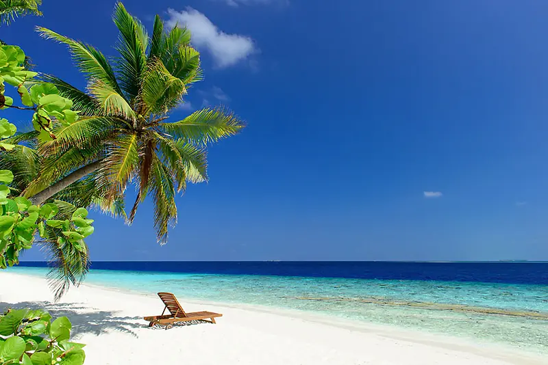 蓝天椰树海洋风景图片高清图片
