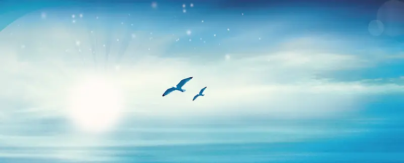 蓝天海鸥背景