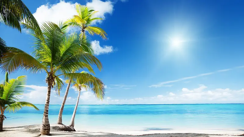 阳光沙滩蓝天白云椰子树