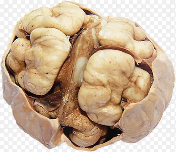 干果核桃