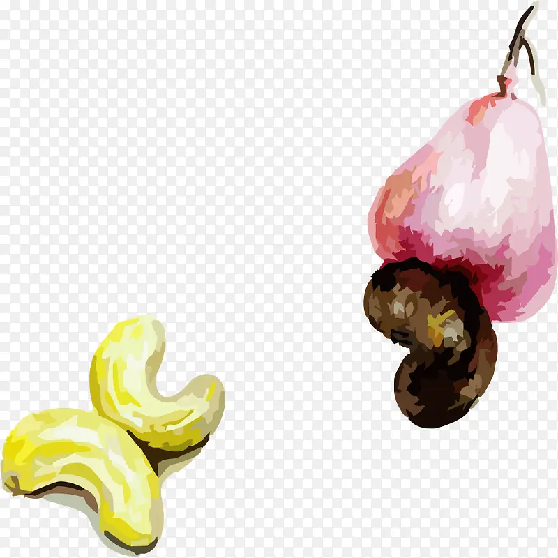 腰果插画