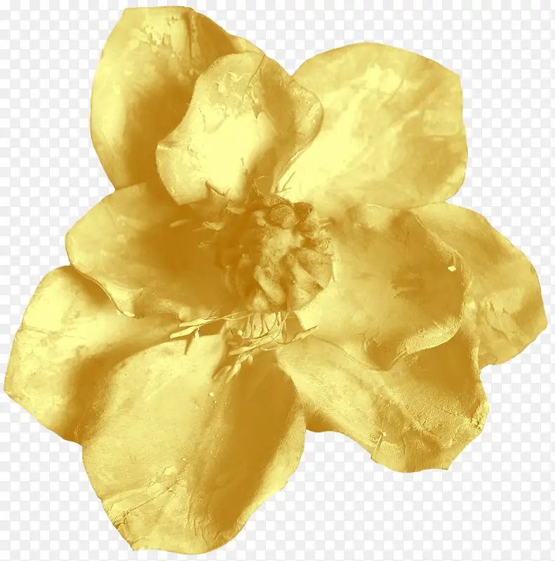 手绘金色花朵