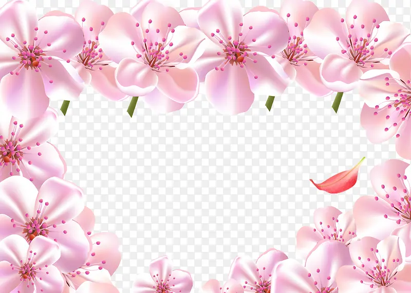 粉色鲜花花卉背景图