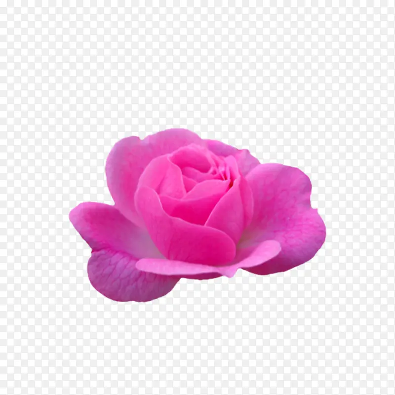 小花