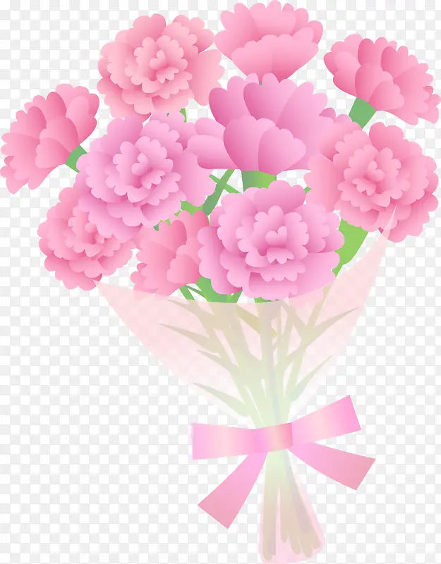 粉色美丽母亲节康乃馨