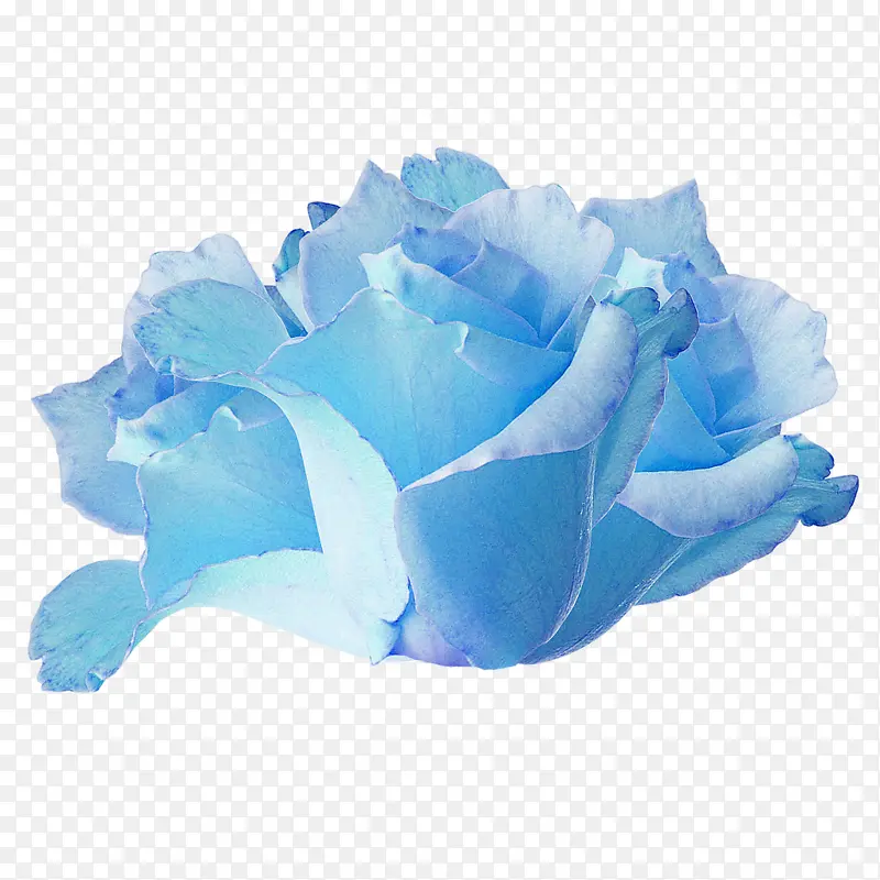 蓝色花朵装饰素材