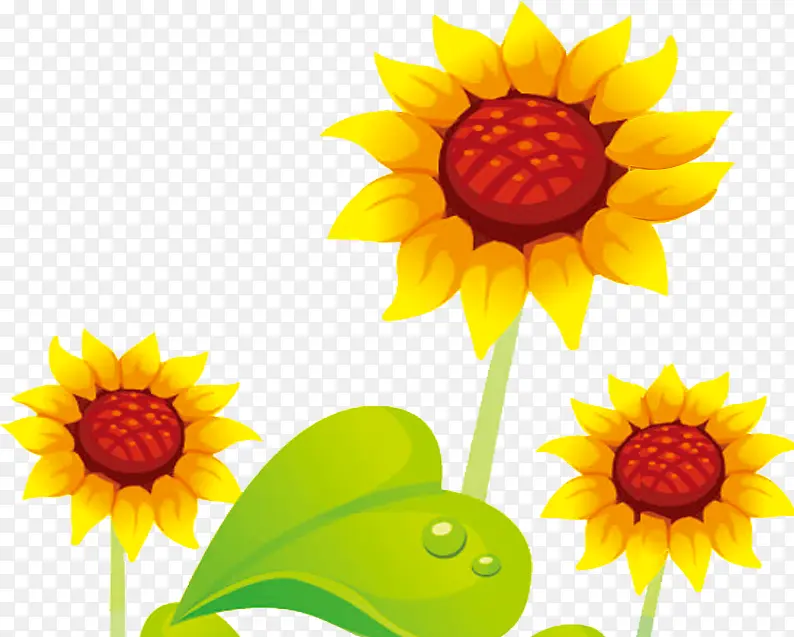 植物卡通手绘黄色花朵