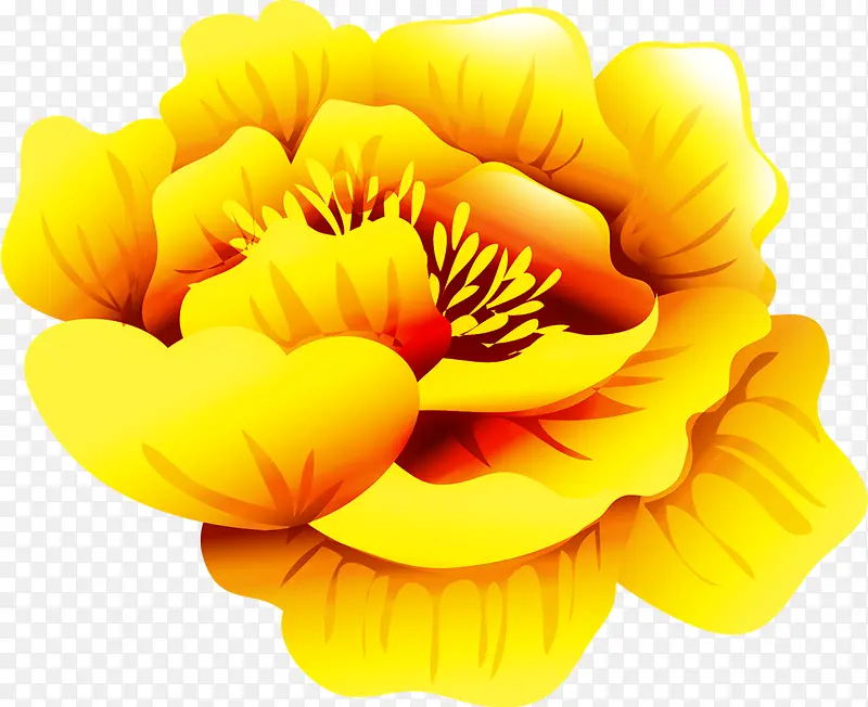 设计海报金黄色植物花朵