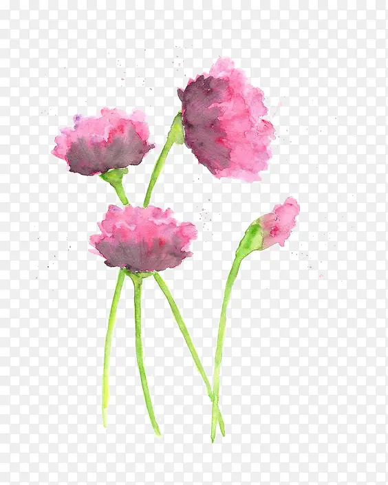 四朵粉色的花