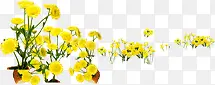 创意海报教师节黄色花朵