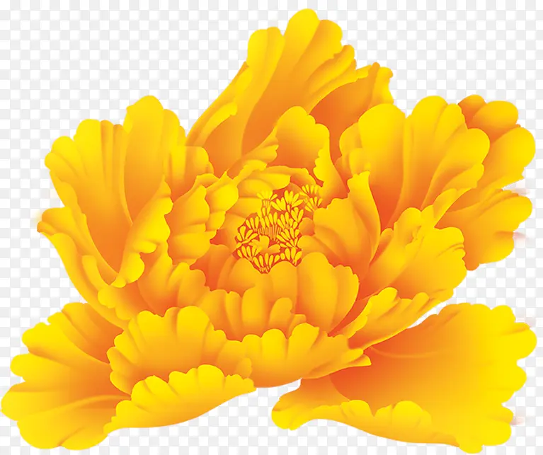 手绘海报黄色花朵