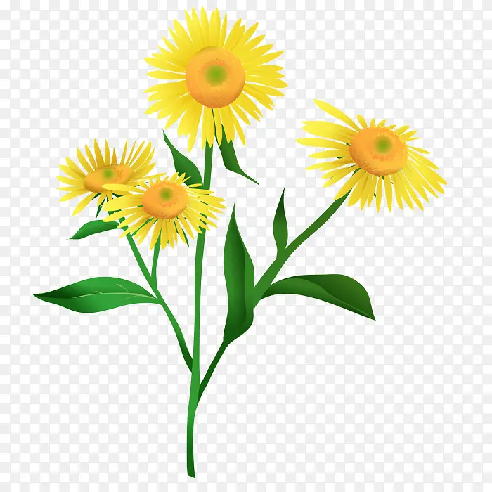 黄色小花