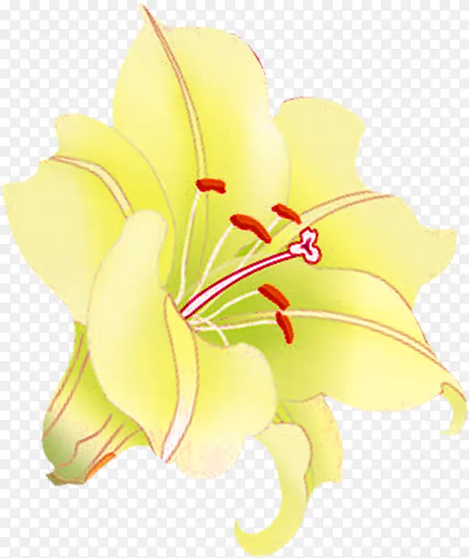 黄色卡通手绘花朵设计装饰