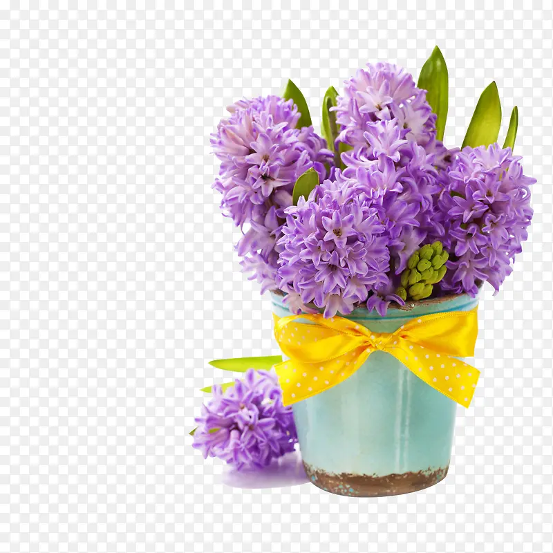 黄色蝴蝶结花盆紫色花朵