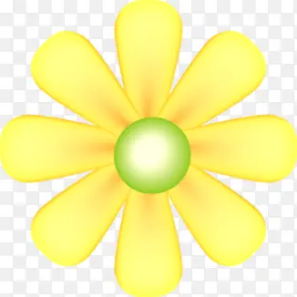春天黄色唯美花朵