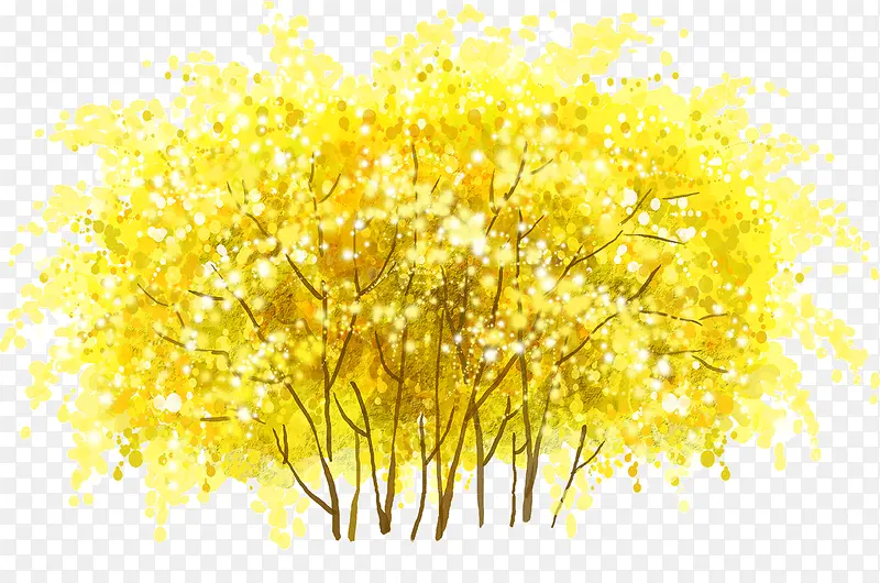 黄色的花树