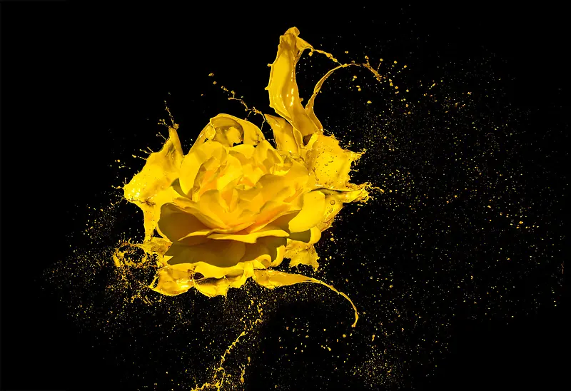 黄色喷溅花朵设计